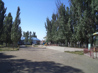 DSC03470.jpg