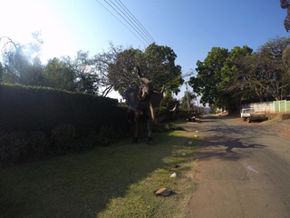 GOPR2784.jpg