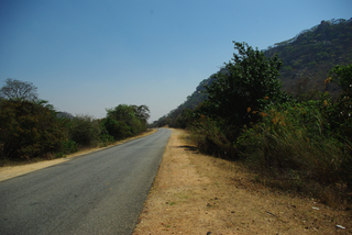 IMGP5087.jpg